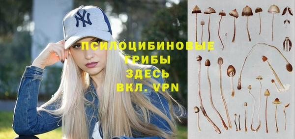 ПСИЛОЦИБИНОВЫЕ ГРИБЫ Абаза