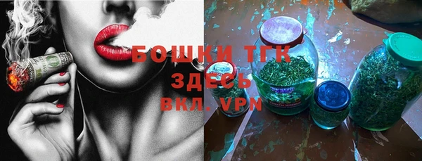 ПСИЛОЦИБИНОВЫЕ ГРИБЫ Абаза