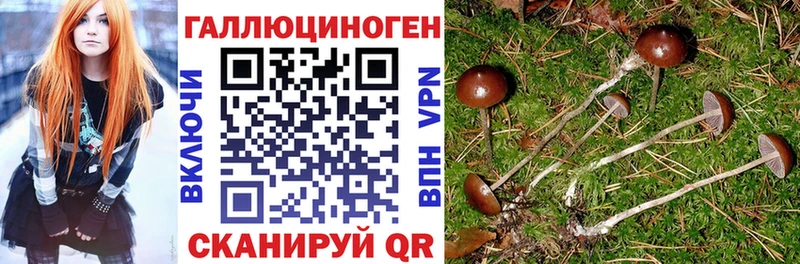 Галлюциногенные грибы ЛСД продажа наркотиков Ковдор